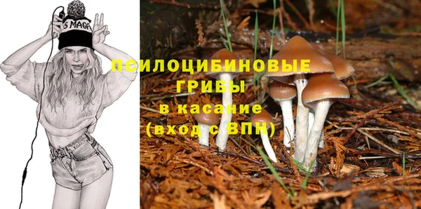 дмт Абинск
