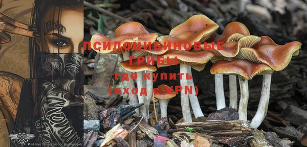 дмт Абинск